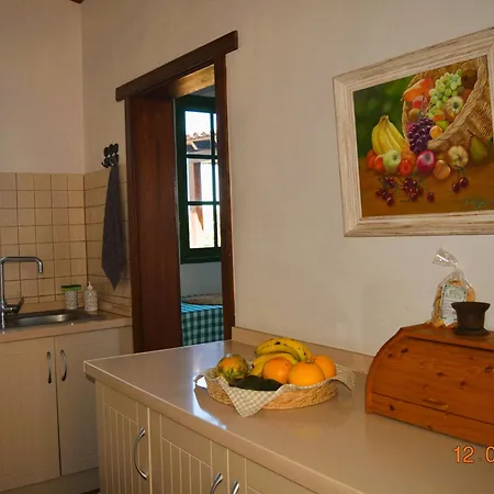 La Hachita. Ferienhaus La Orotava